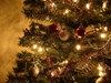 Graham's Christmas Tree 1