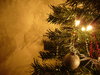 Graham's Christmas Tree 5