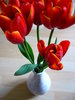 Tulips 3