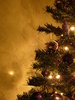 Graham's Christmas Tree 9