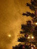 Graham's Christmas Tree 7