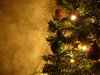 Graham's Christmas Tree 11