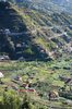 Terraces