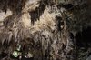 Nerja Caves