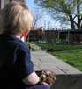 Baseball Kid