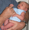 newborn
