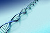 DNA molecule 5