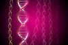 DNA molecule 6