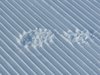 footprint in snow