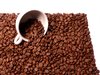 Cup in beans