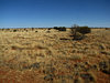 dry brown land