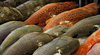 at the fish market