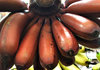 red bananas