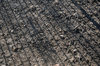 Dirt
