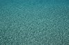 Sparkling water