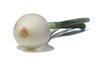 green onion