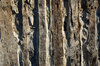 Log Cabin Wall