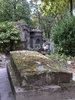 moss-covered grave