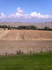 tuscany fields and clouds