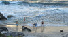 dog's day at the beach