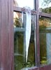 Icicle