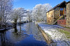 Winters morning