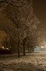 Winter night scene
