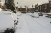 Snow covered cars