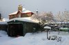 A snowy garden