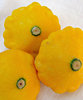 mini squash