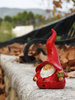 Gnome 010