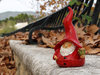 Gnome 030