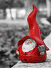 Gnome B/N 020