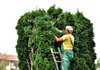 Gardener at work