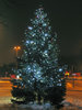 christmas tree at night