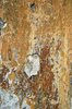 Wall texture