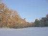 peaceful winter park scenery