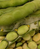 broad beans