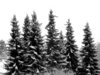 December Day
