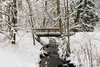 creek in december