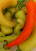 sweet peppers