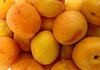 apricot orange