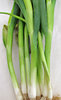 spring onions