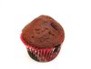 Chocolate Chip Muffin