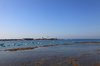 Cadiz 27
