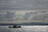 Fishing boat & seagulls