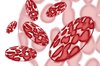 Microbes or blood cells