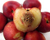 ripe nectarines