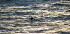 waves at dusk