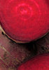 beetroot